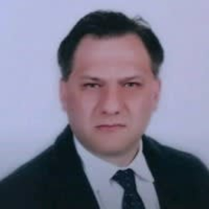 DEMİRHAN ÇAVUŞOĞLU - PeerSpot reviewer