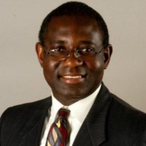 CelestinBitjonck - PeerSpot reviewer