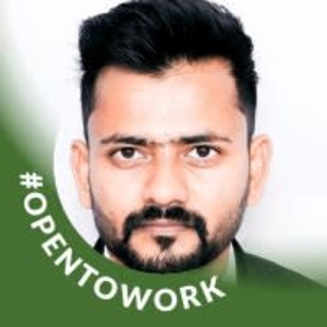 BrijeshKumar - PeerSpot reviewer