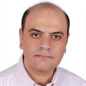 AmrEL Tahan - PeerSpot reviewer