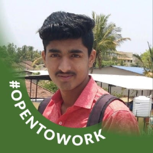 Vijay Gawade - PeerSpot reviewer