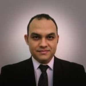 AhmedElkholy - PeerSpot reviewer