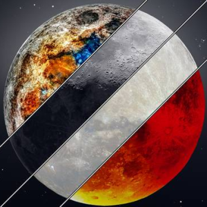 Heron Ziegel - PeerSpot reviewer