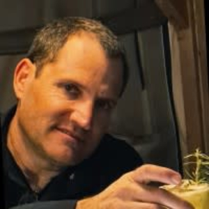 Hadar Eshel - PeerSpot reviewer