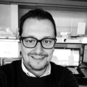 AlessandroFabris - PeerSpot reviewer