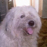 Jon Blake - PeerSpot reviewer