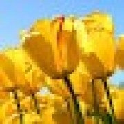 Bhushan Dale - PeerSpot reviewer