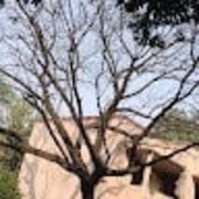 Shivendra Pratap - PeerSpot reviewer