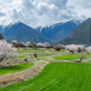 Hussain Gagan - PeerSpot reviewer