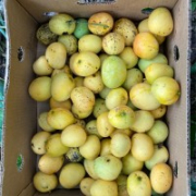 David François - PeerSpot reviewer