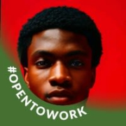 Paul Akinleye - PeerSpot reviewer