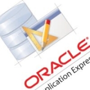 SS36 - PeerSpot reviewer