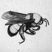 Tintin Rahman - PeerSpot reviewer