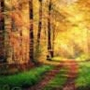 Michael Sutherland - PeerSpot reviewer