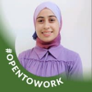 SabraSmari - PeerSpot reviewer