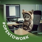 Vundavalli Gowtham - PeerSpot reviewer