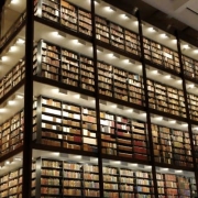 ShoaibKhan - PeerSpot reviewer