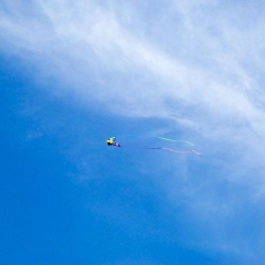 Dave DiNatale - PeerSpot reviewer