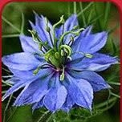 Ulagammal (Ulags) Paramasivam - PeerSpot reviewer