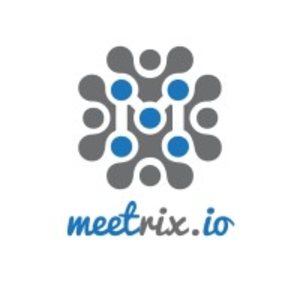 Plane: Project Management AMI by Meetrix Logo