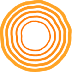 trmeric Logo
