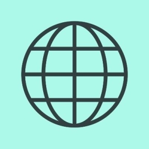 SWIFTnet FIN Logo