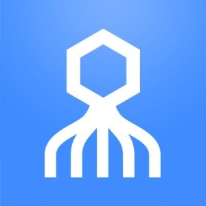 Secret Double Octopus Logo