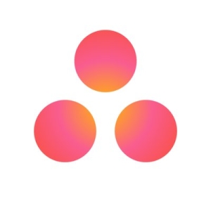 Asana MCP Server Logo