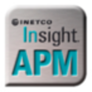 INETCO Insight Logo