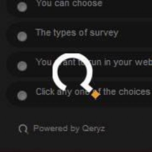 Qeryz Logo