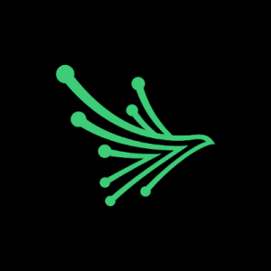 Black Kite Logo