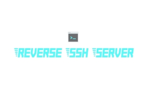 Reverse SSH Server Logo