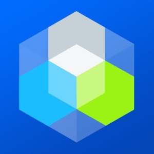 NetFoundry Platform Logo