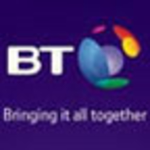 BT Network Services Logo