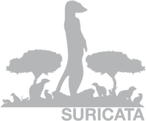 Suricata on Ubuntu LTS Annual Subscription Logo