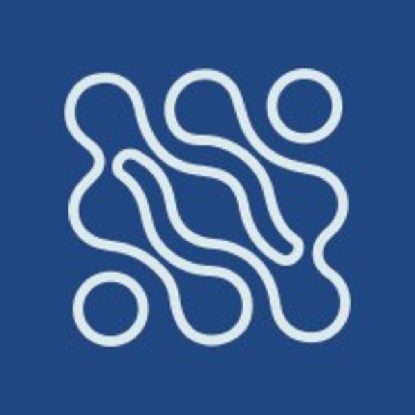 BetterQA reviews 2026