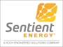 Reliability-as-a-Service by Sentient Energy (Standard OH feeder) Logo