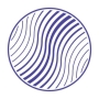 Maverics Platform Logo