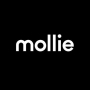 Mollie vs Shopify Payments Logo