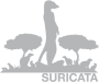 Suricata on Ubuntu LTS Annual Subscription Logo