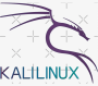 Penetration Testing kali with custom tooling Logo