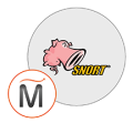 CodeIgniter Web Framework by Miri Infotech Inc. Logo