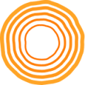 trmeric Logo