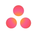 Asana Logo