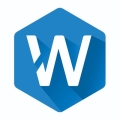 WizyEMM Logo