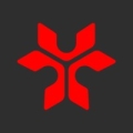 NetRise Logo