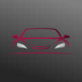 msg.CIS Logo