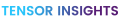 TensorInsights: Unleashing Generative AI for Chat and Document Q&A Logo
