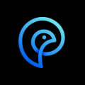 Phylum - The Software Supply Chain Security Company Logo