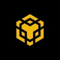 BNB Chain Logo